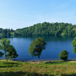 Weinfelder Maar